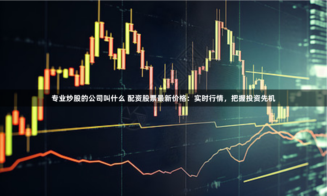 专业炒股的公司叫什么 配资股票最新价格：实时行情，把握投资先机