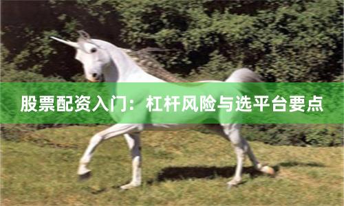 股票配资入门:杠杆风险与选平台要点