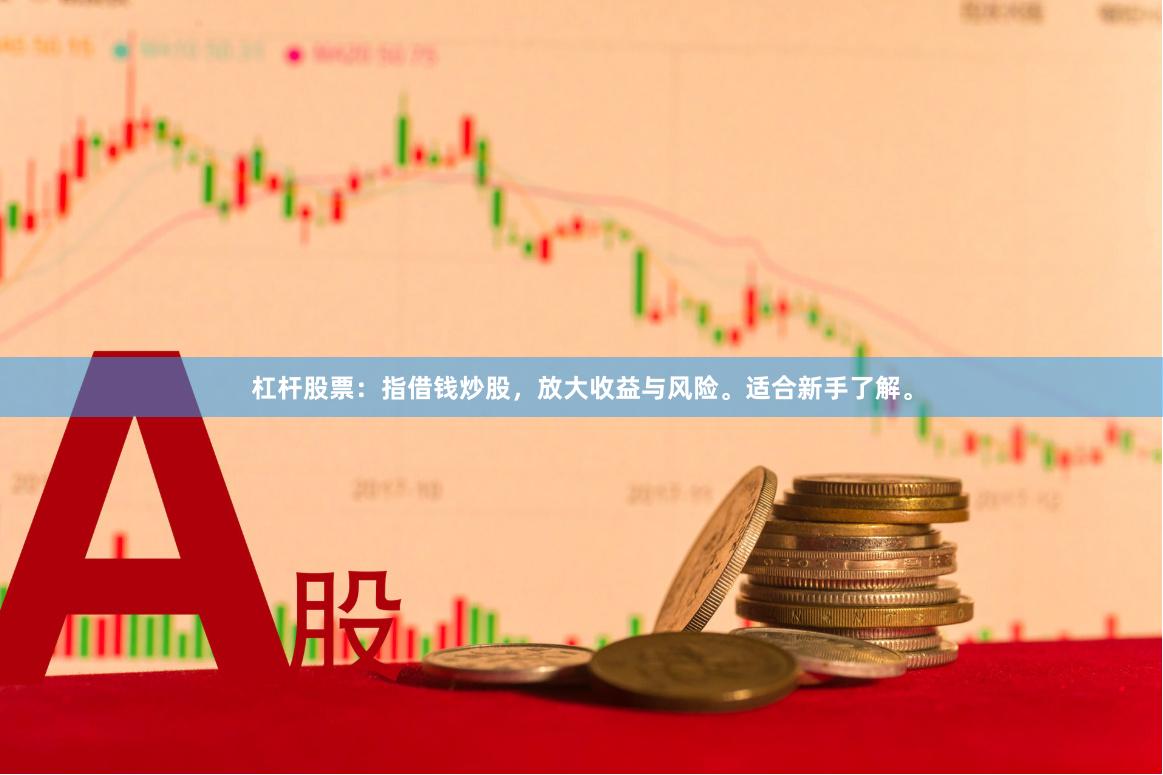 杠杆股票：指借钱炒股，放大收益与风险。适合新手了解。